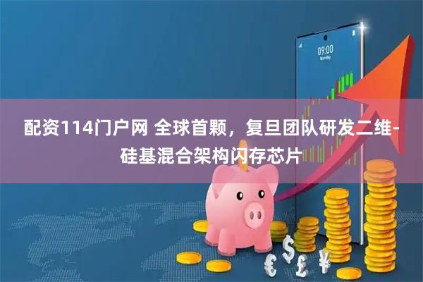 配资114门户网 全球首颗，复旦团队研发二维-硅基混合架构闪存芯片